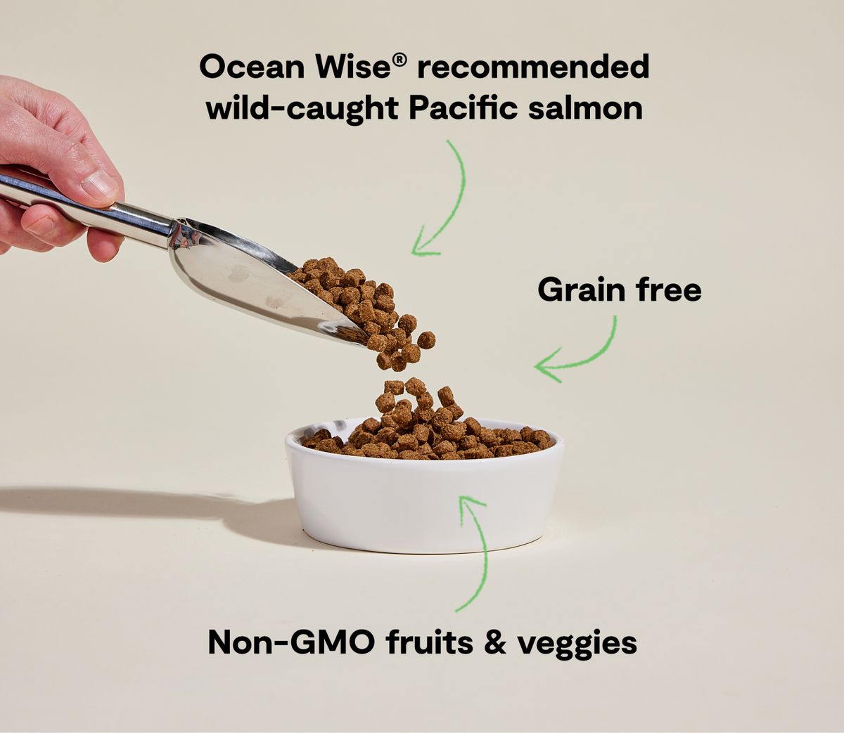 Ocean Wild Salmon Grain-Free Dry Dog Food Kibble – Omega-3 Rich