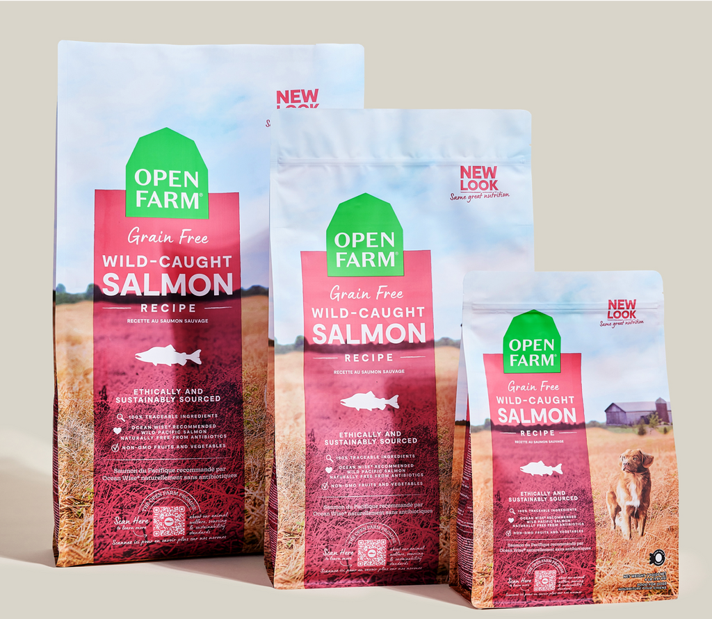 Ocean Wild Salmon Grain-Free Dry Dog Food Kibble – Omega-3 Rich