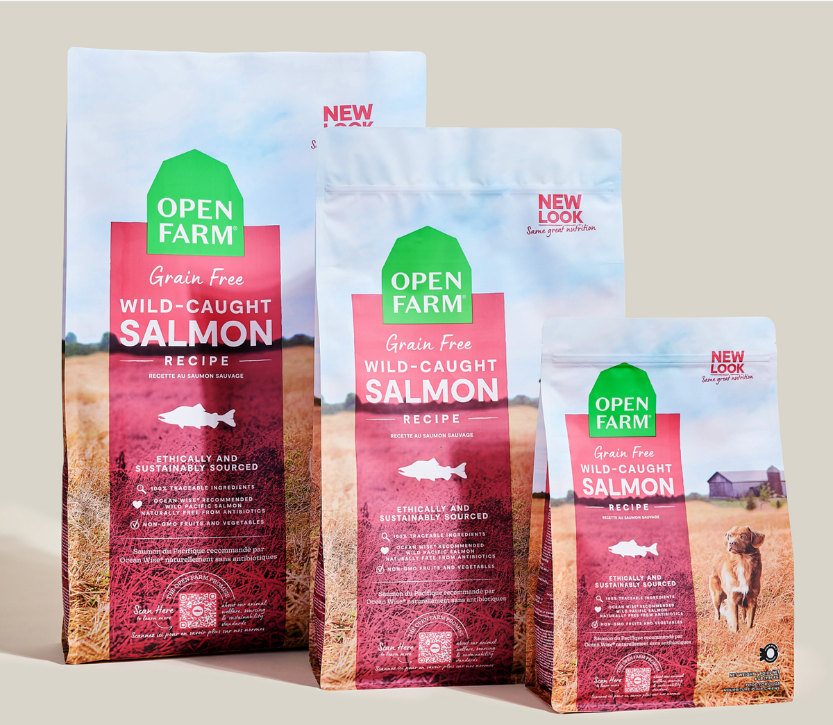 Ocean Wild Salmon Grain-Free Dry Dog Food Kibble – Omega-3 Rich