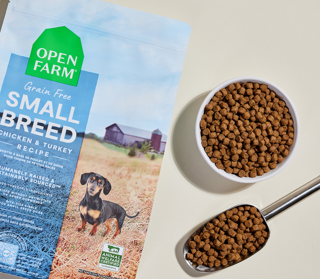 Small-Breed Grain-Free High-Protein Dog Kibble – Chicken & Turkey Bites