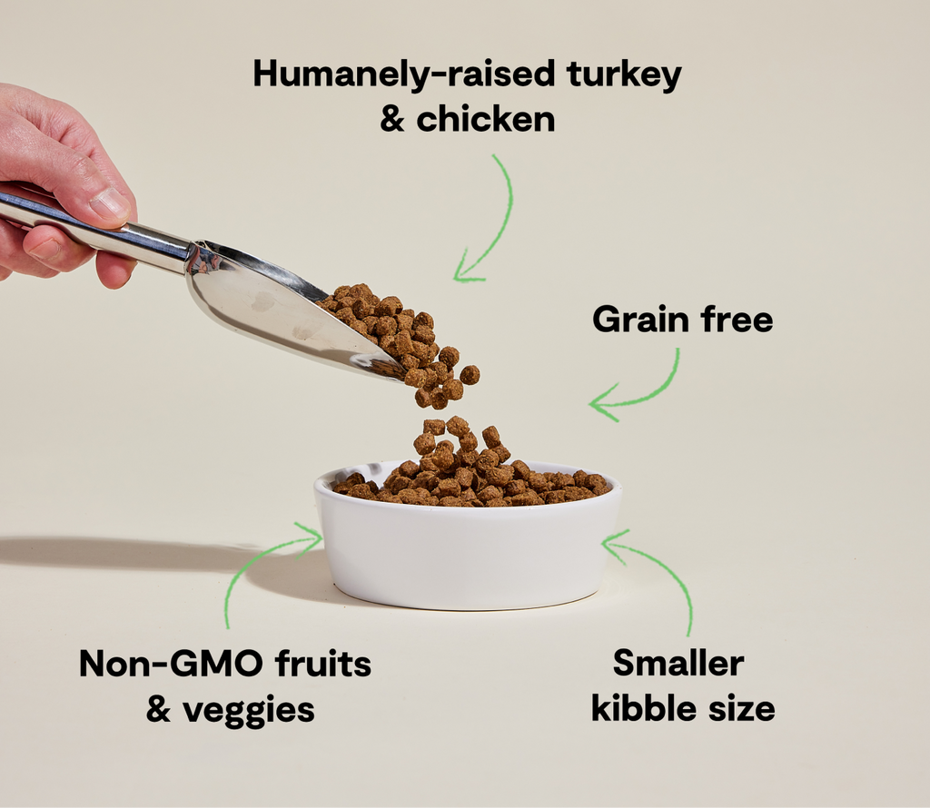 Small-Breed Grain-Free High-Protein Dog Kibble – Chicken & Turkey Bites