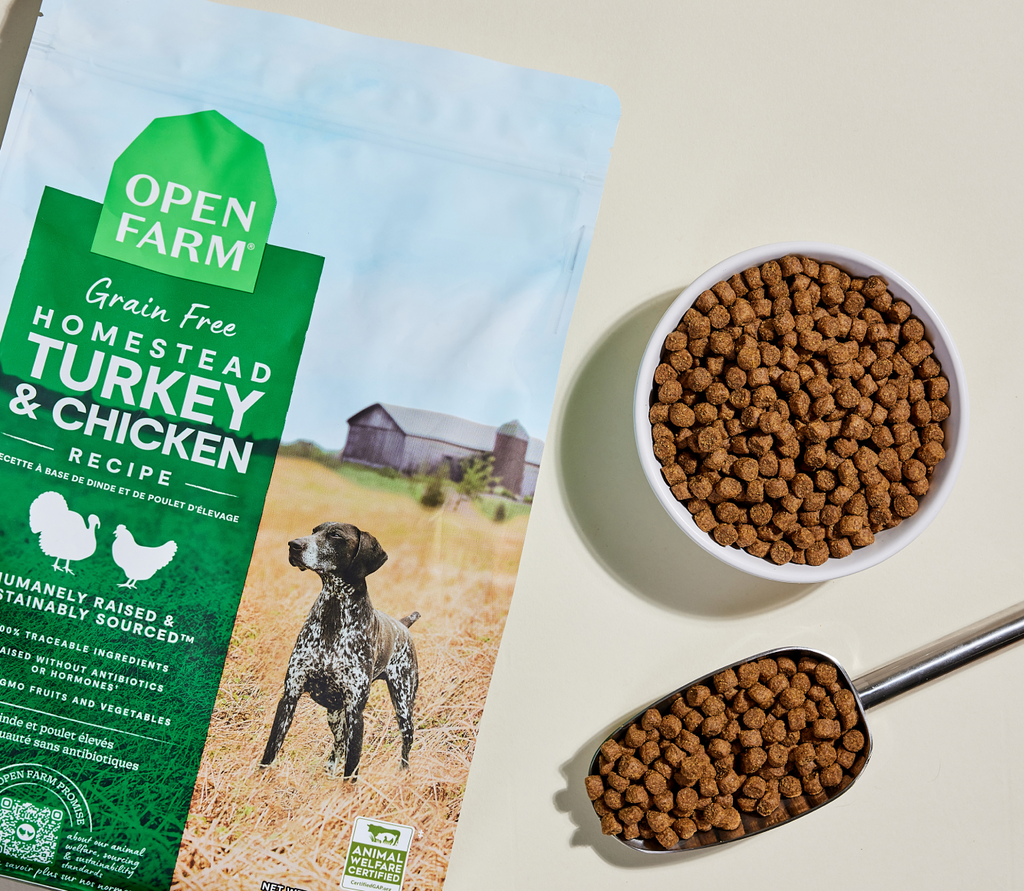 Turkey & Chicken Grain-Free Dry Dog Kibble – Complete Everyday Nutrition