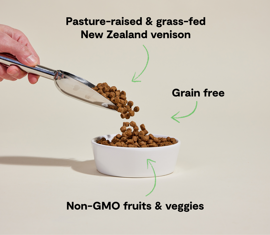 Novel-Protein Venison Dry Dog Kibble – Grain-Free New Zealand Recipe