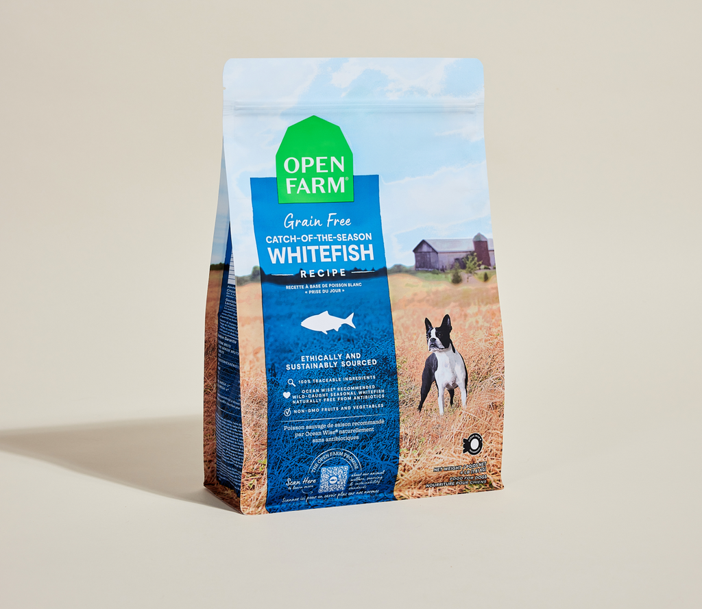 Wild-Caught Ocean Whitefish Dry Dog Food – Grain-Free Omega-3 Kibble