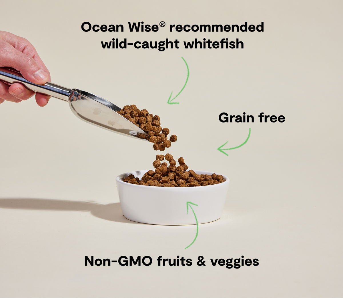 Wild-Caught Ocean Whitefish Dry Dog Food – Grain-Free Omega-3 Kibble