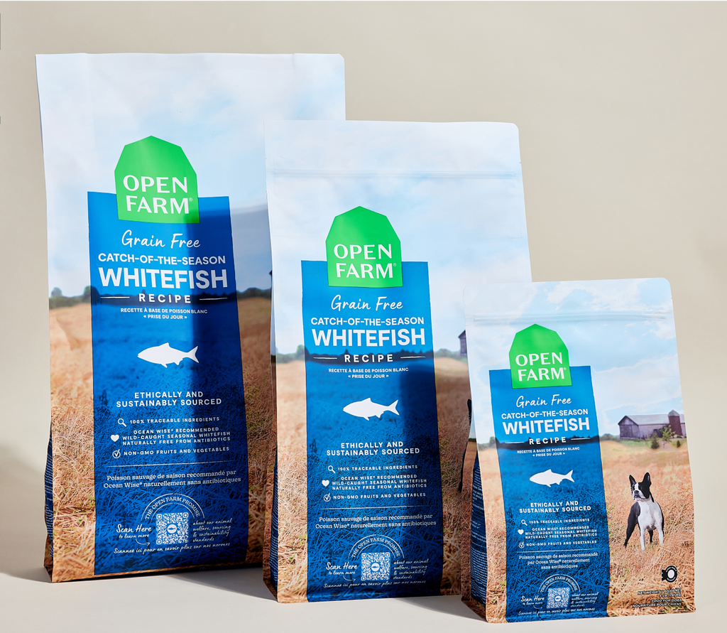 Wild-Caught Ocean Whitefish Dry Dog Food – Grain-Free Omega-3 Kibble