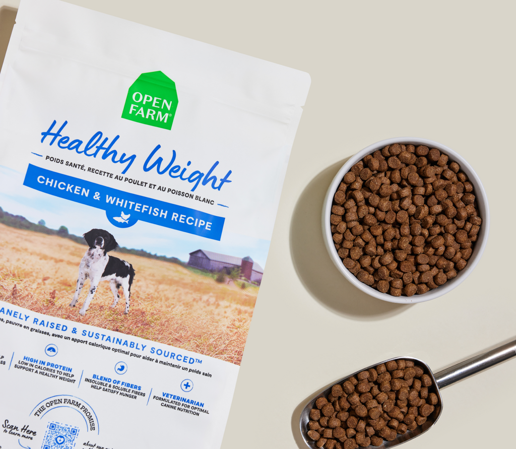 Vet-Formulated Chicken & Whitefish Dog Kibble – Healthy Weight, Low-Calorie