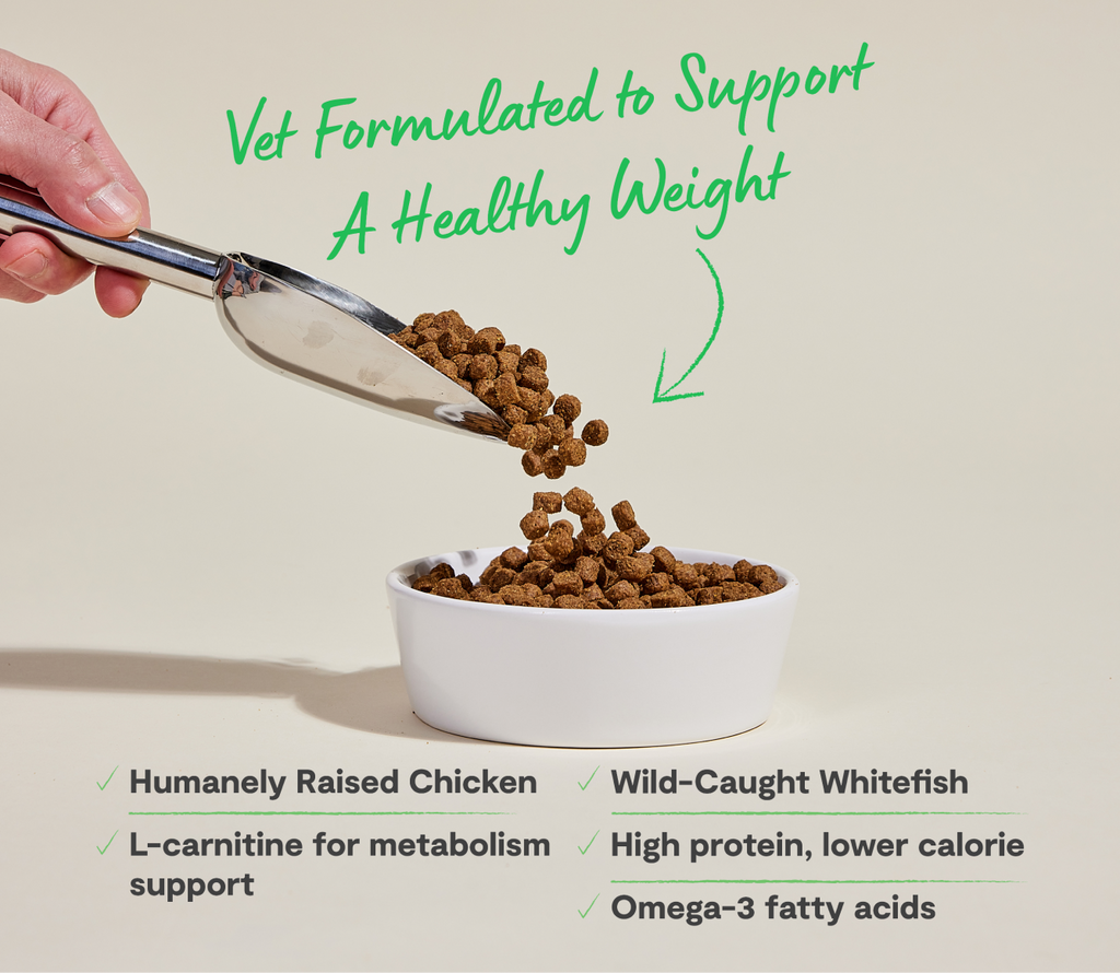 Vet-Formulated Chicken & Whitefish Dog Kibble – Healthy Weight, Low-Calorie