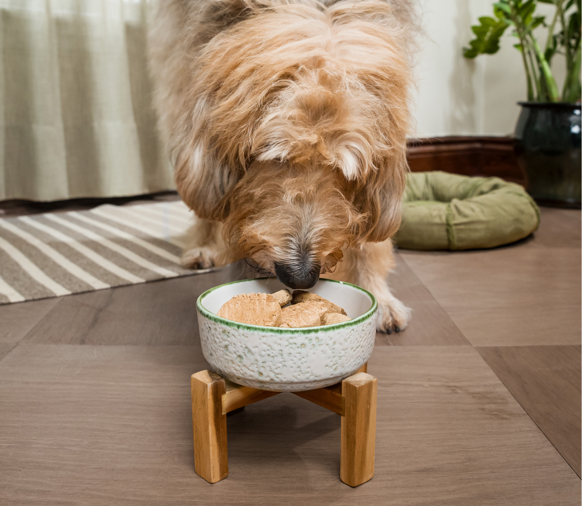 Chicken & Salmon Freeze-Dried Raw Dinner Patties – Puppy Food, Grain-Free