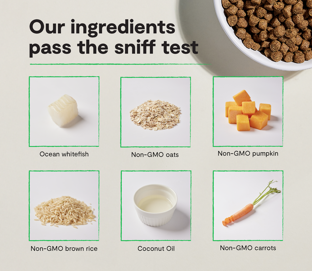 Seasonal Wild Whitefish & Ancient Grains Dry Dog Kibble – Omega-3
