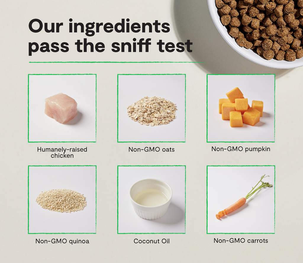 Harvest Chicken & Ancient-Grain Dog Kibble – Quinoa Coconut Oil Friendly