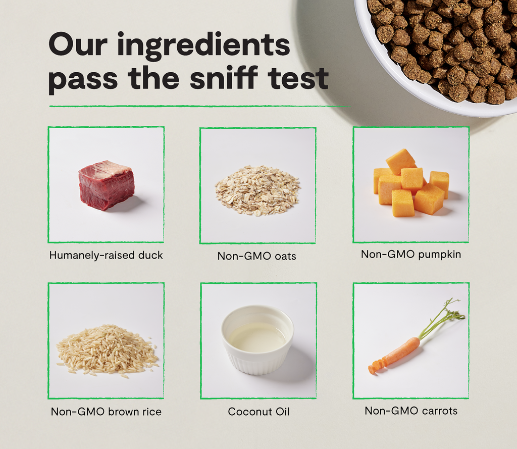 Duck & Ancient Grains Complete Dry Dog Food – Quinoa, Pumpkin & Coconut Oil