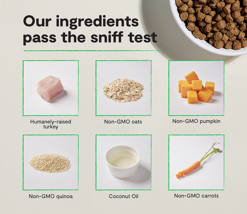 Homestead Turkey & Ancient Grains Dry Dog Kibble – Sensitive Stomachs