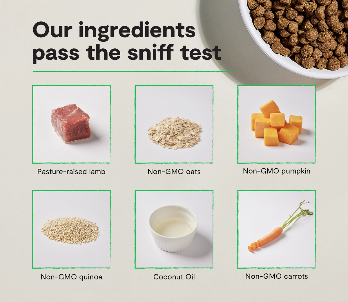 New Zealand Lamb & Ancient-Grain Dog Kibble – Quinoa Coconut Oil Friendly