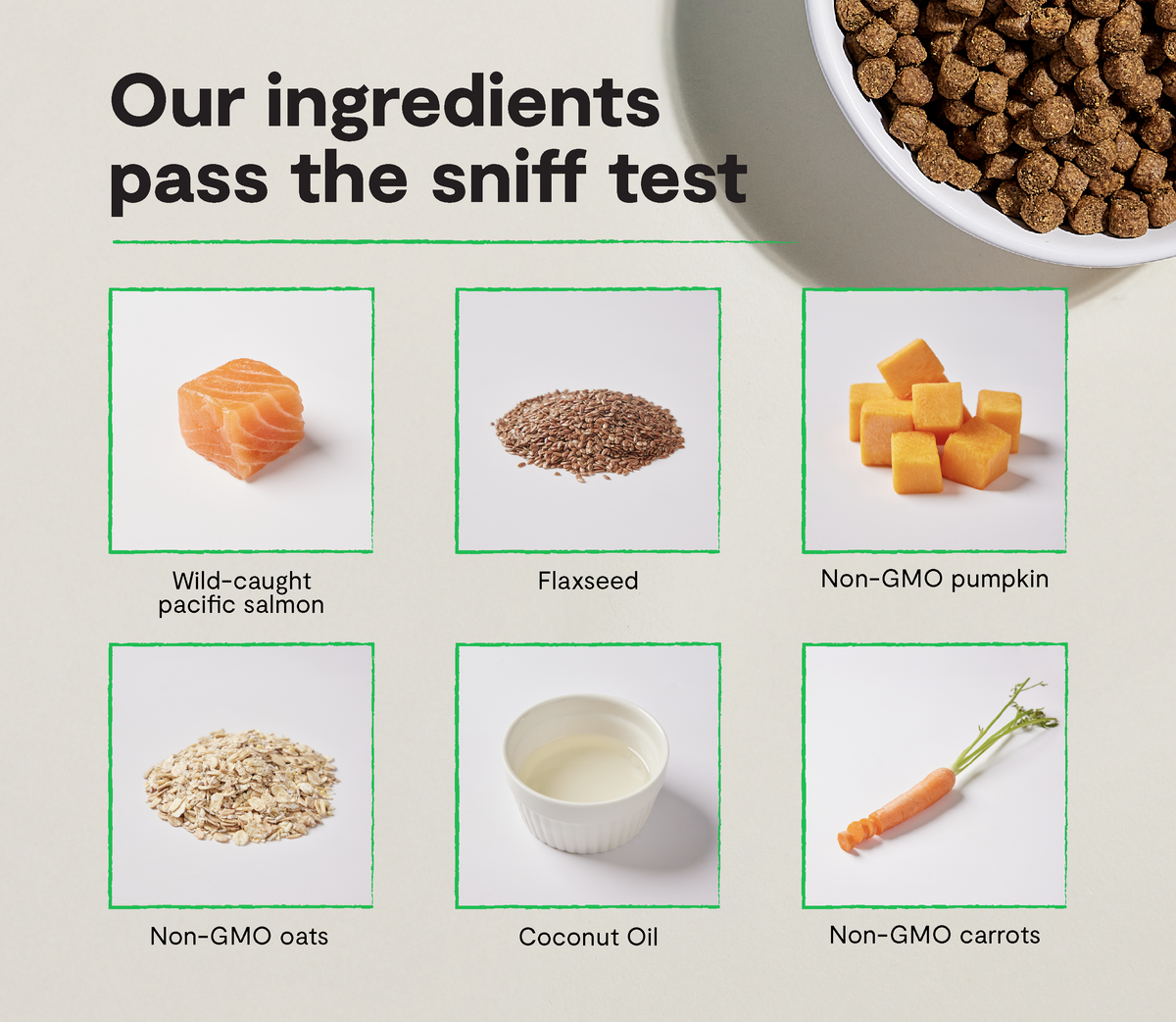 Puppy Kibble with Wild-Caught Salmon & Ancient Grains - Brain, Eye, Immune Support