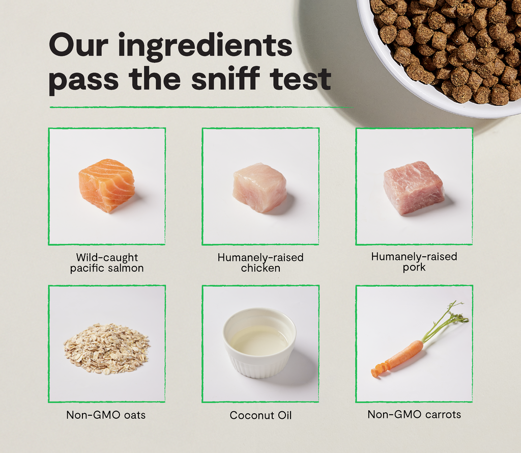 Salmon & Chicken Ancient-Grain Puppy Kibble – Immune-Supporting Recipe