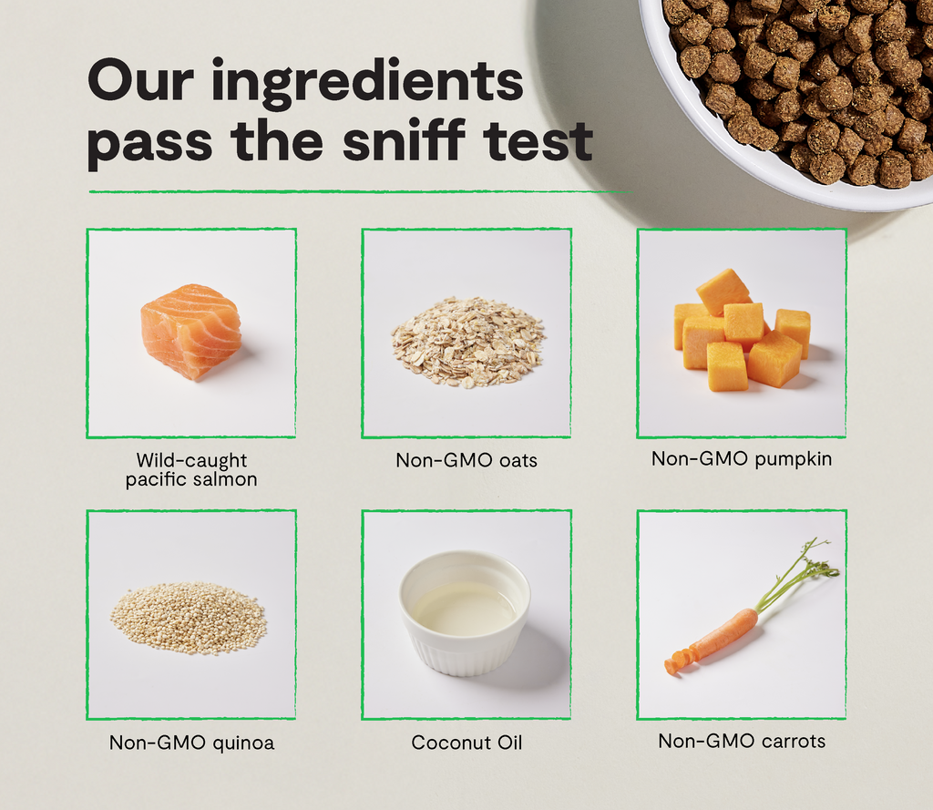 Pacific Salmon & Ancient-Grain Dog Kibble – Omega-3 Quinoa Friendly