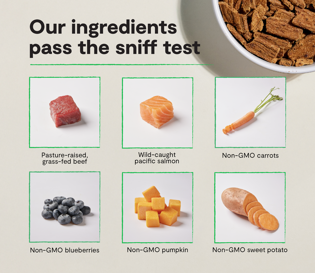 Air-Dried Surf & Turf Dog Food - 90% Salmon & Beef, Jerky-Style Complete Meal