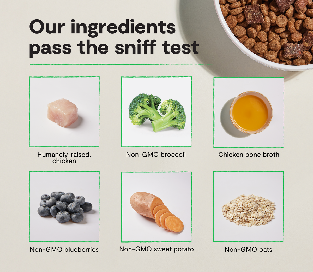 High-Protein Chicken & Superfood Kibble – Probiotic-Coated Dry Dog Food