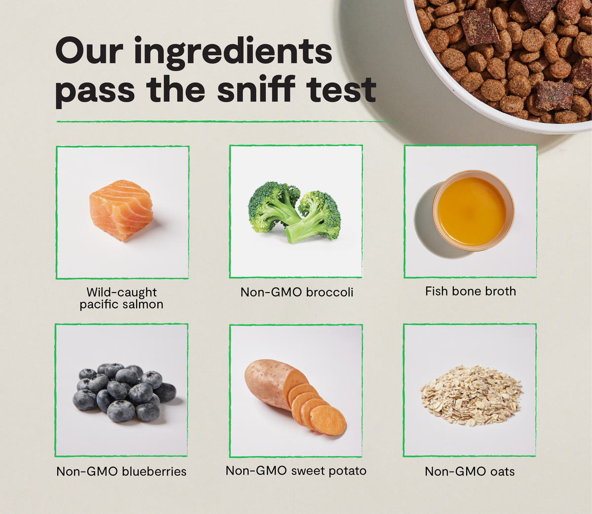 Salmon & Superfood High-Protein Dry Dog Food – Probiotic Kibble Blend
