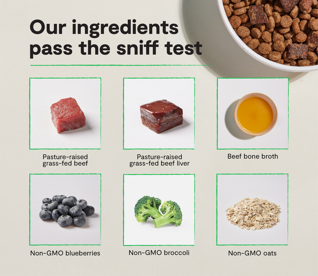 Beef & Superfood Epic Blend Dog Kibble – Probiotic-Coated Air-Dried Bits