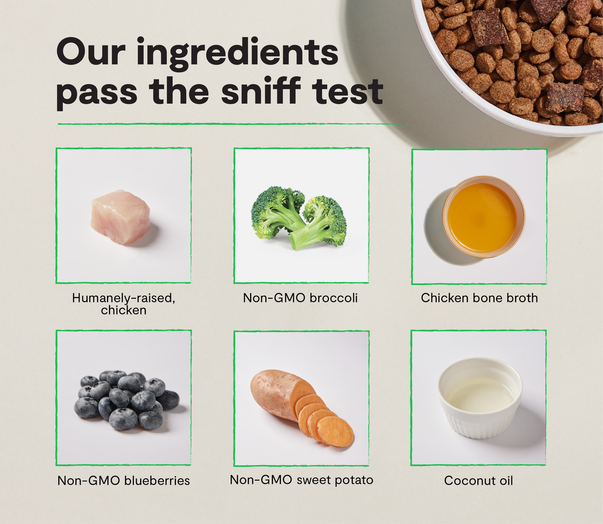 High-Protein Chicken Superfood Dog Kibble - Oven-Baked & Air-Dried Blend