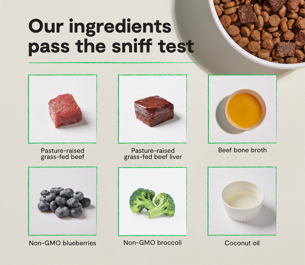 High-Protein Grain-Free Beef Kibble with Air-Dried Morsels & 10+ Superfoods