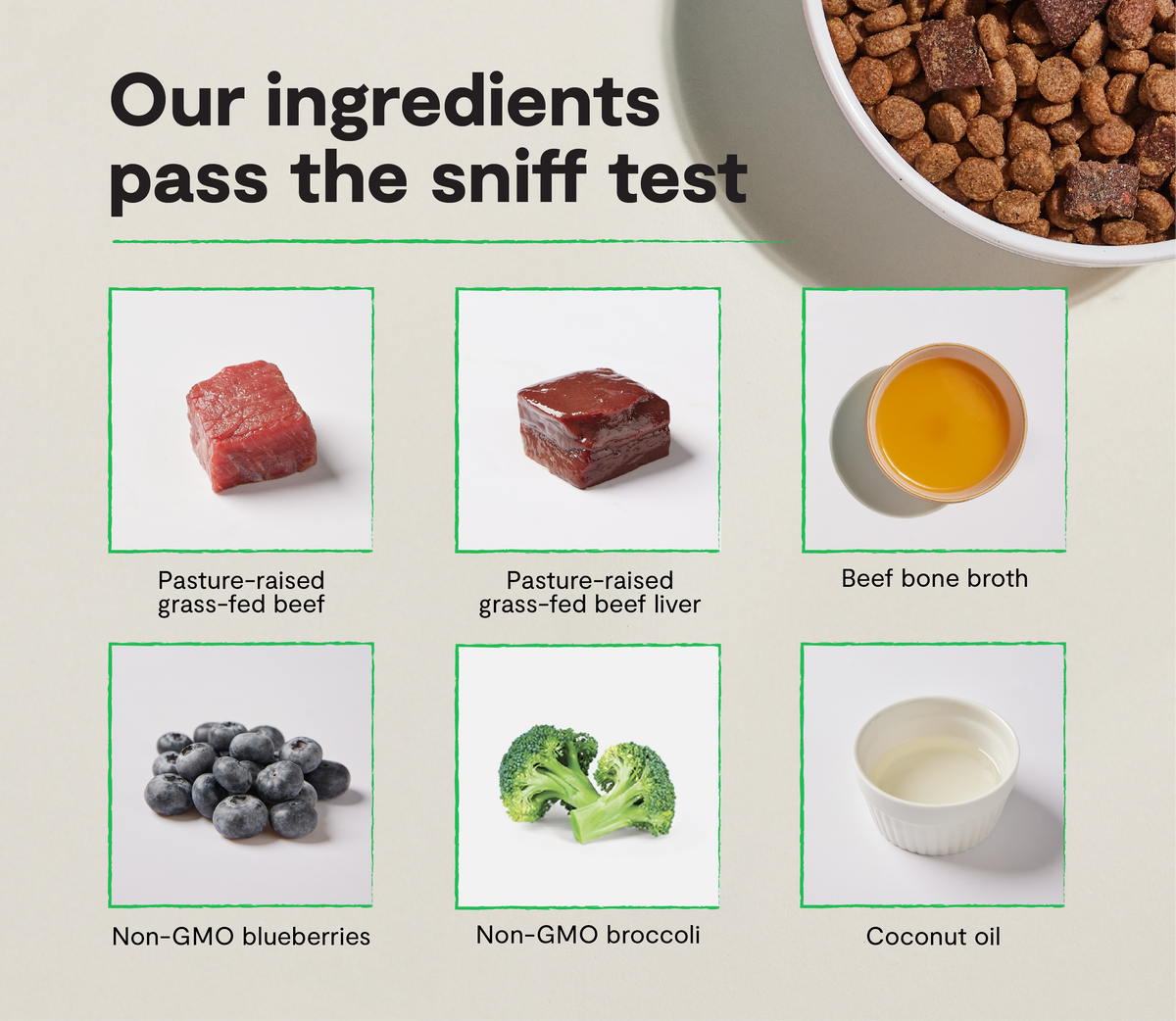 High-Protein Grain-Free Beef Kibble with Air-Dried Morsels & 10+ Superfoods