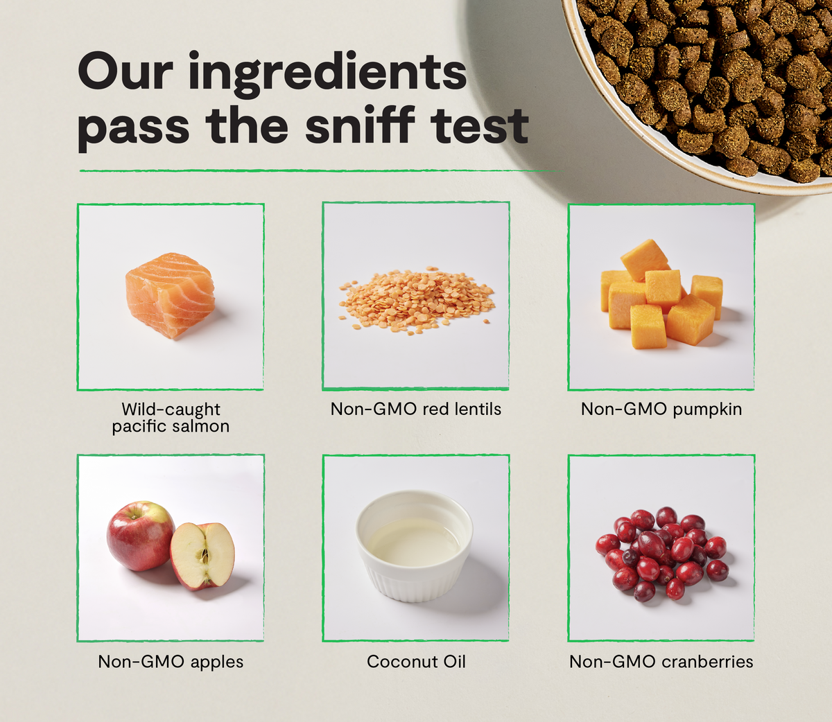 Grain-Free Wild-Caught Salmon Cat Kibble - Omega-3 & DHA Skin & Coat Meal
