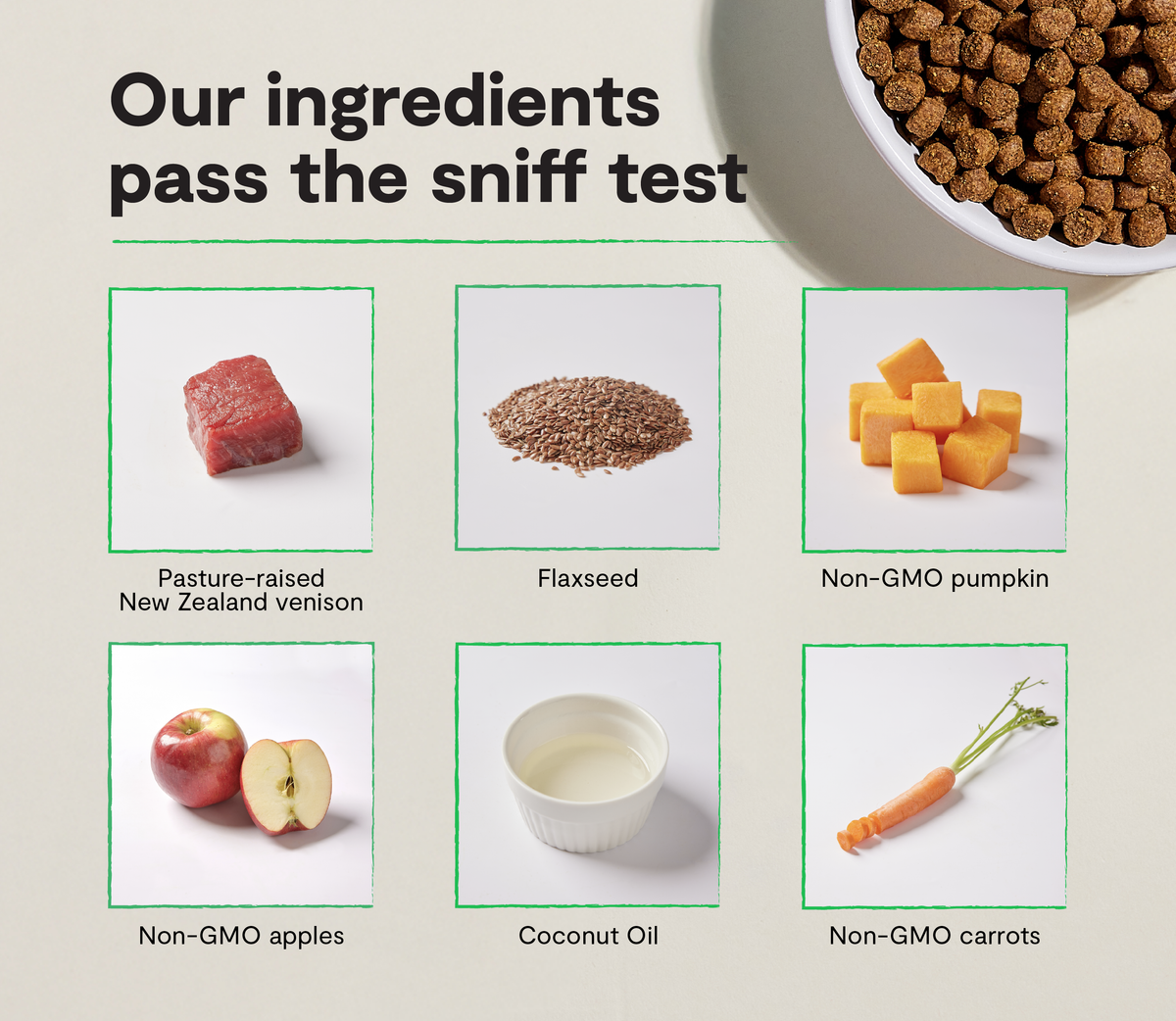 Novel-Protein Venison Dry Dog Kibble – Grain-Free New Zealand Recipe