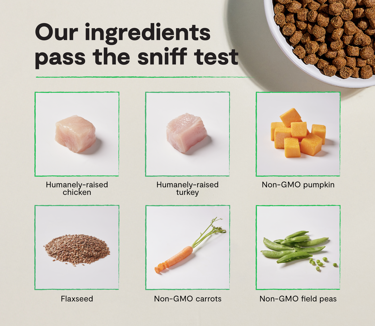 Turkey & Chicken Grain-Free Dry Dog Kibble – Complete Everyday Nutrition