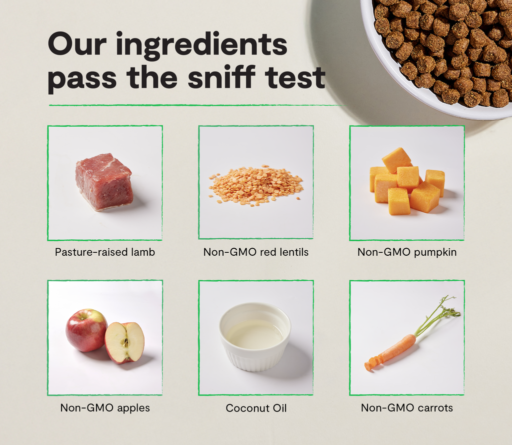 Pasture-Raised Lamb Dog Kibble – Grain-Free, Pumpkin & Coconut Oil