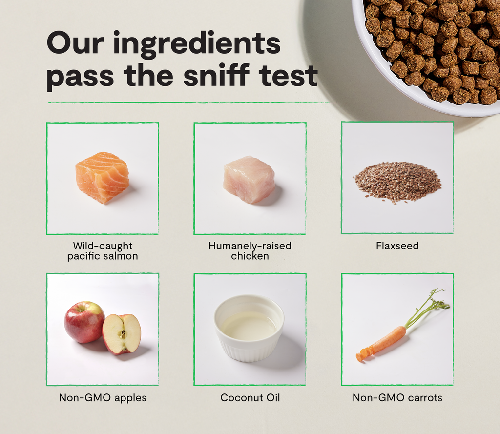 Grain-Free Salmon & Chicken Puppy Kibble – Immune & Skin Support