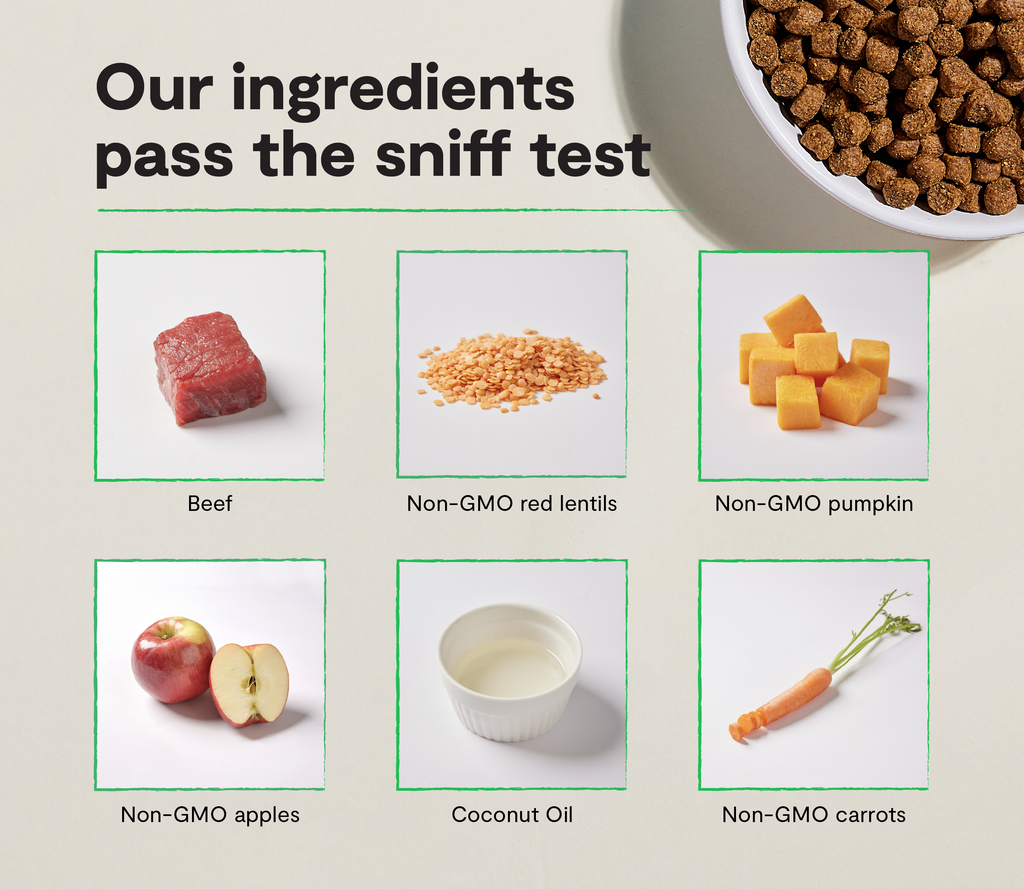 Grass-Fed Beef Dog Kibble – Grain-Free, Pumpkin & Sweet Potato, Traceable