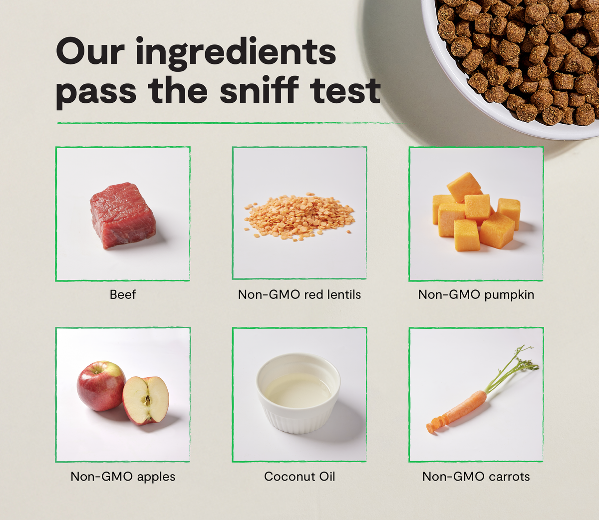 Grass-Fed Beef Dog Kibble – Grain-Free, Pumpkin & Sweet Potato, Traceable