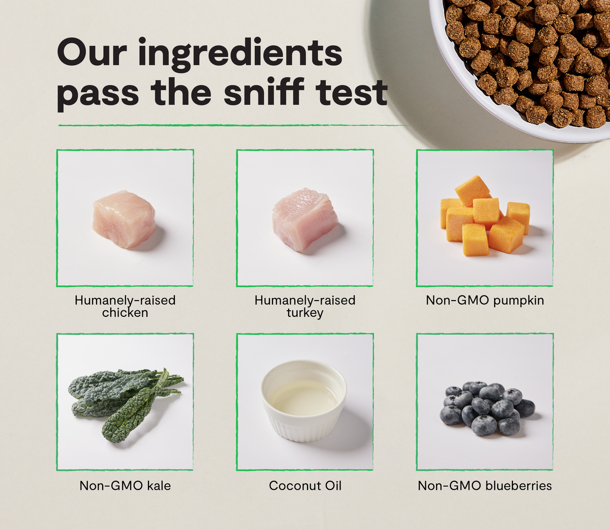 Small-Breed Grain-Free High-Protein Dog Kibble – Chicken & Turkey Bites