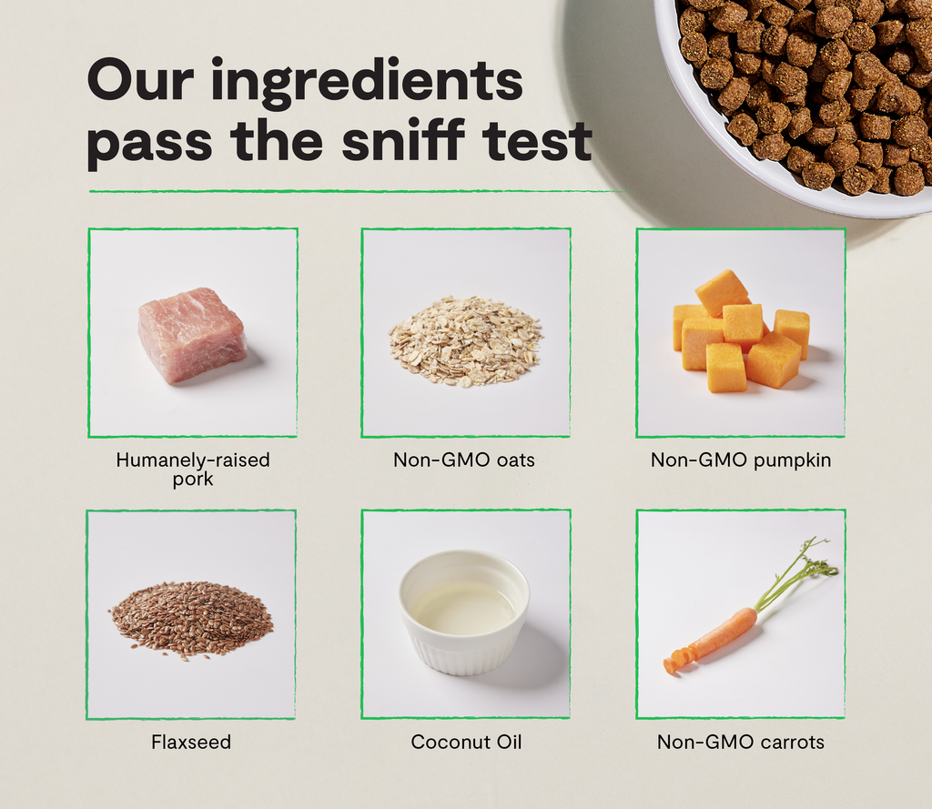 Humanely Raised Pork Grain-Free Dog Kibble – Non-GMO Fully Traceable