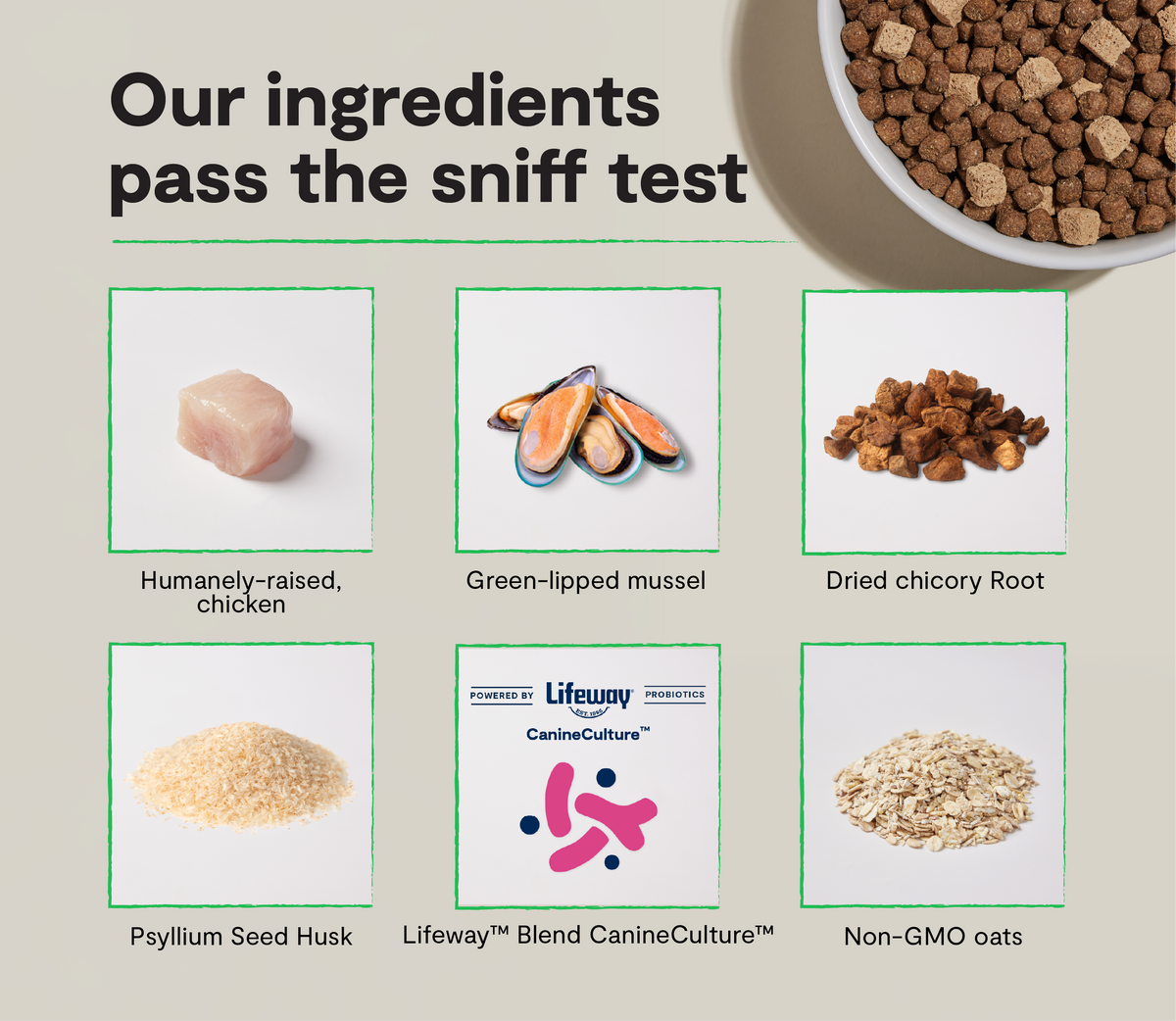 Chicken Digestive Dog Kibble with Freeze-Dried Cubes & 2B Probiotic CFUs
