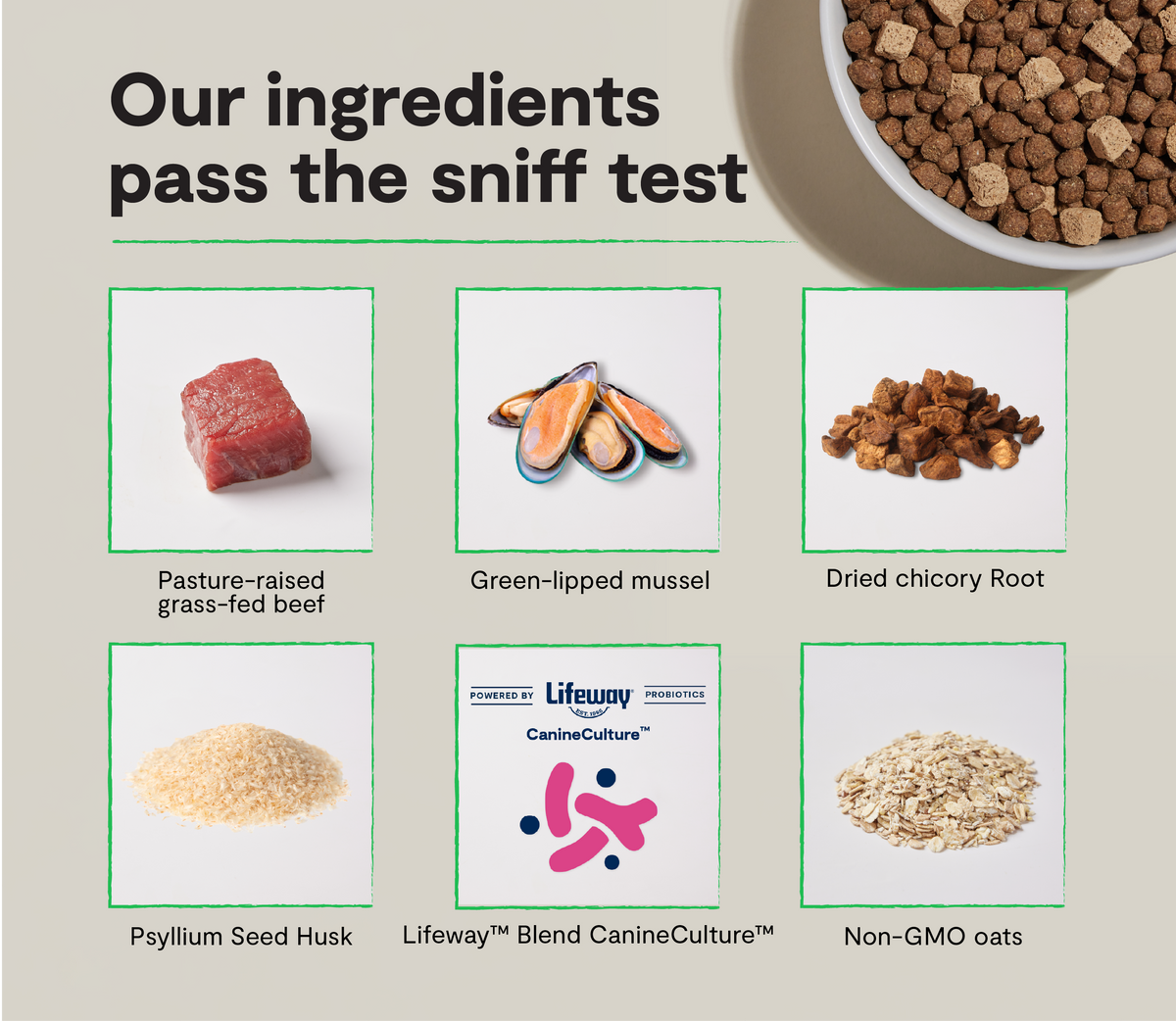 Probiotic Grass-Fed Beef Kibble – Freeze-Dried Raw Cubes, Gut-Health Dog Food