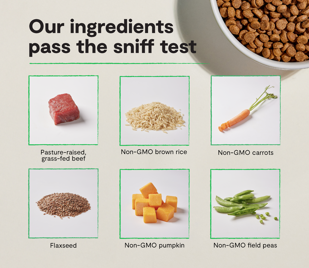 Grass-Fed Beef & Brown Rice Oven-Baked Dog Kibble – Wholesome Value
