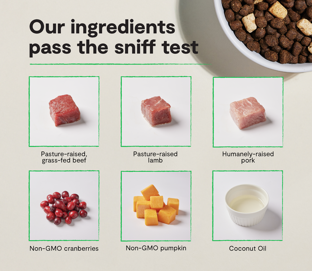 Beef, Lamb & Pork Grain-Free Raw-Coated Dog Kibble - Bone Broth Chunks