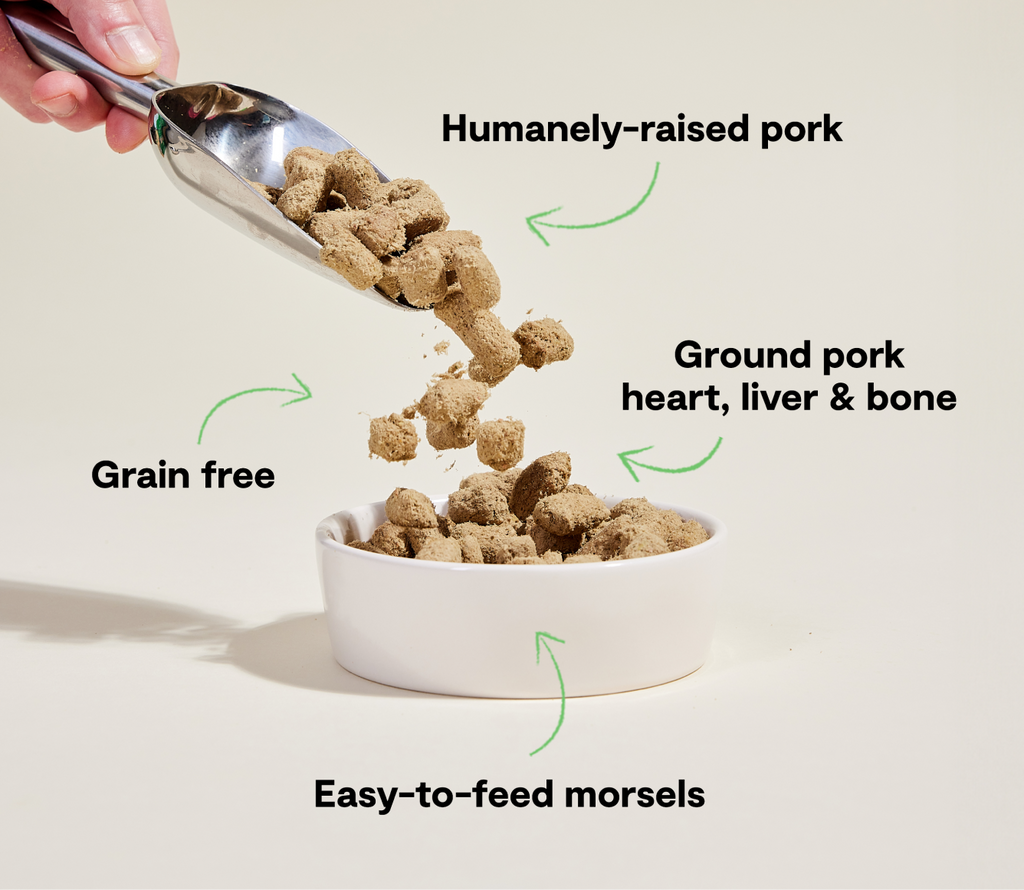 Single-Protein Pork Freeze-Dried Raw Morsels – Grain-Free Dog Food