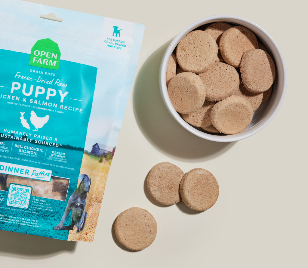 Chicken & Salmon Freeze-Dried Raw Dinner Patties – Puppy Food, Grain-Free