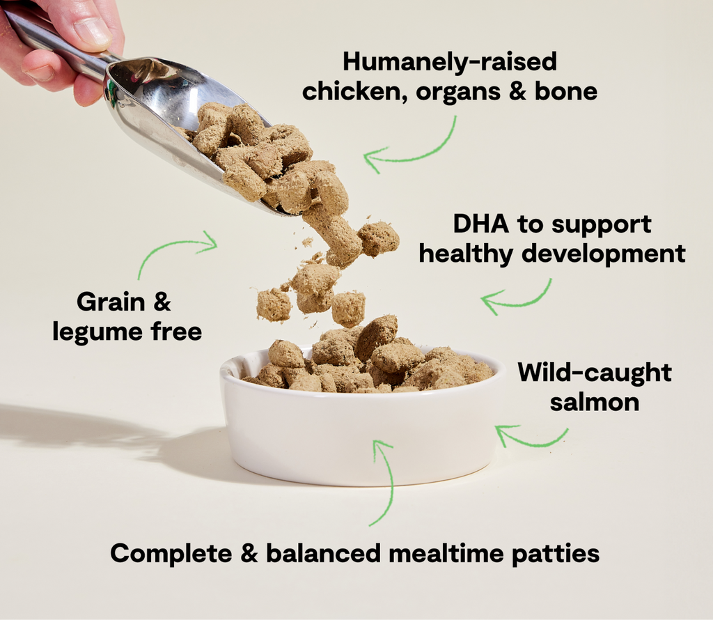 Chicken & Salmon Freeze-Dried Raw Dinner Patties – Puppy Food, Grain-Free