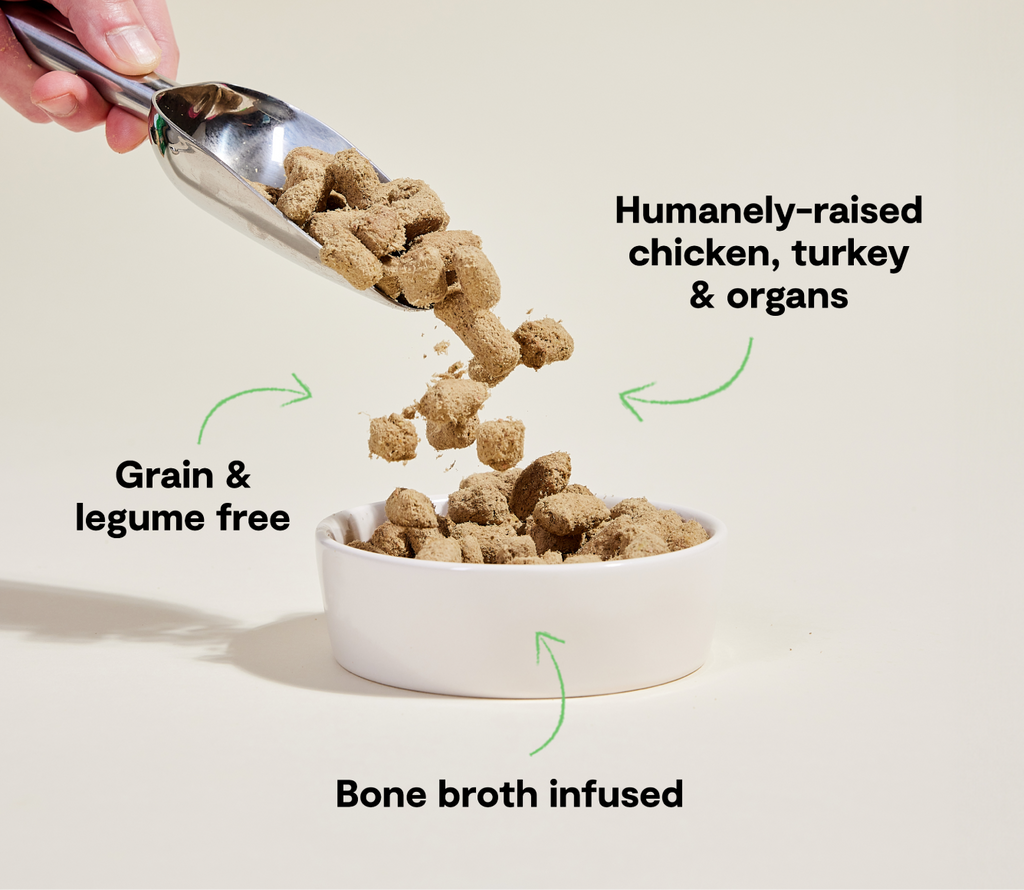 Freeze-Dried Raw Chicken & Turkey Dog Food Topper - 95% Meat, Organ & Bone