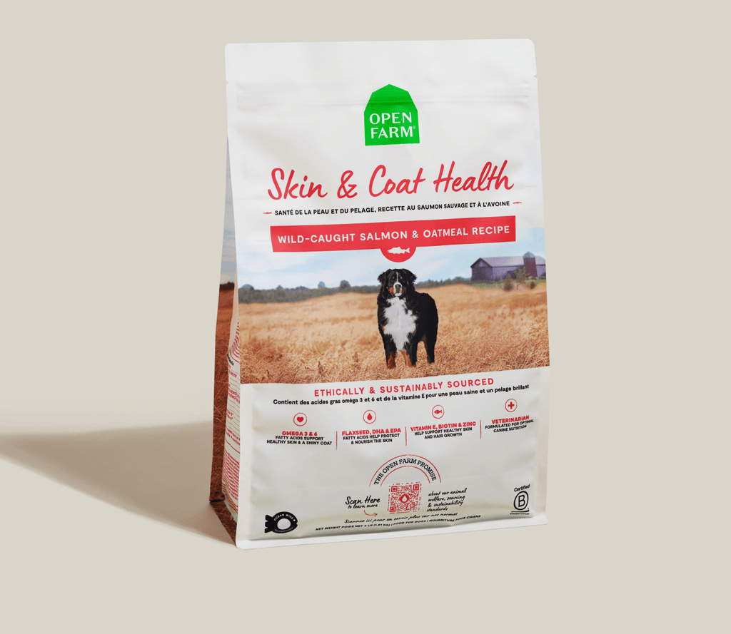 Salmon & Oatmeal Dry Dog Food for Skin & Coat – Omega-3 Rich Kibble