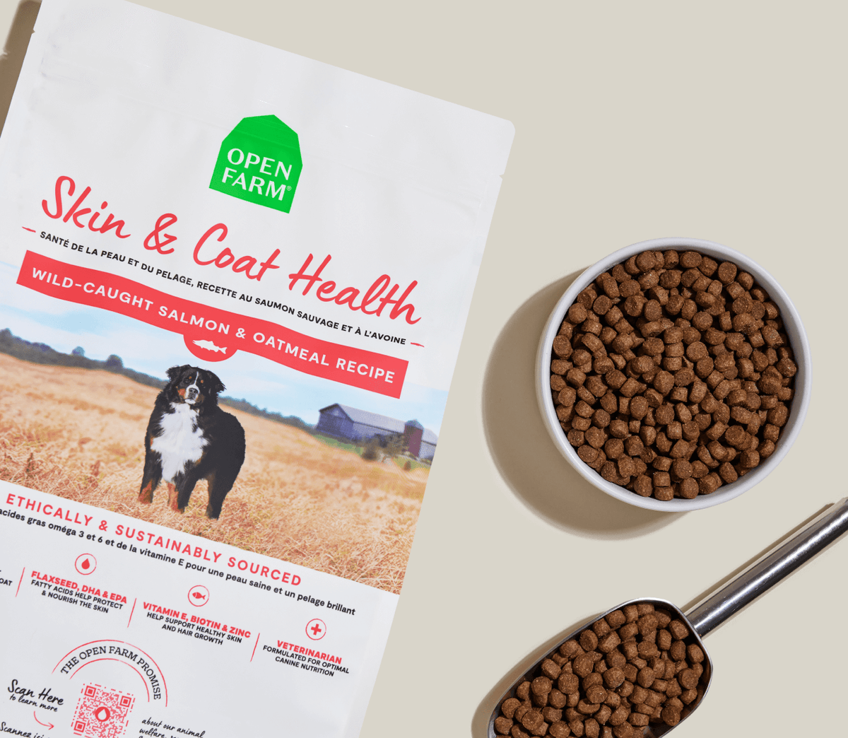 Salmon & Oatmeal Dry Dog Food for Skin & Coat – Omega-3 Rich Kibble
