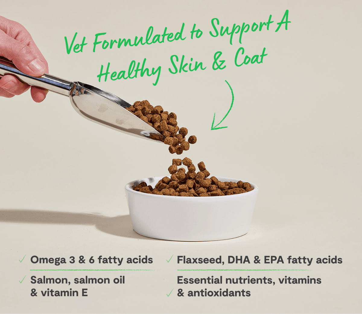 Salmon & Oatmeal Dry Dog Food for Skin & Coat – Omega-3 Rich Kibble