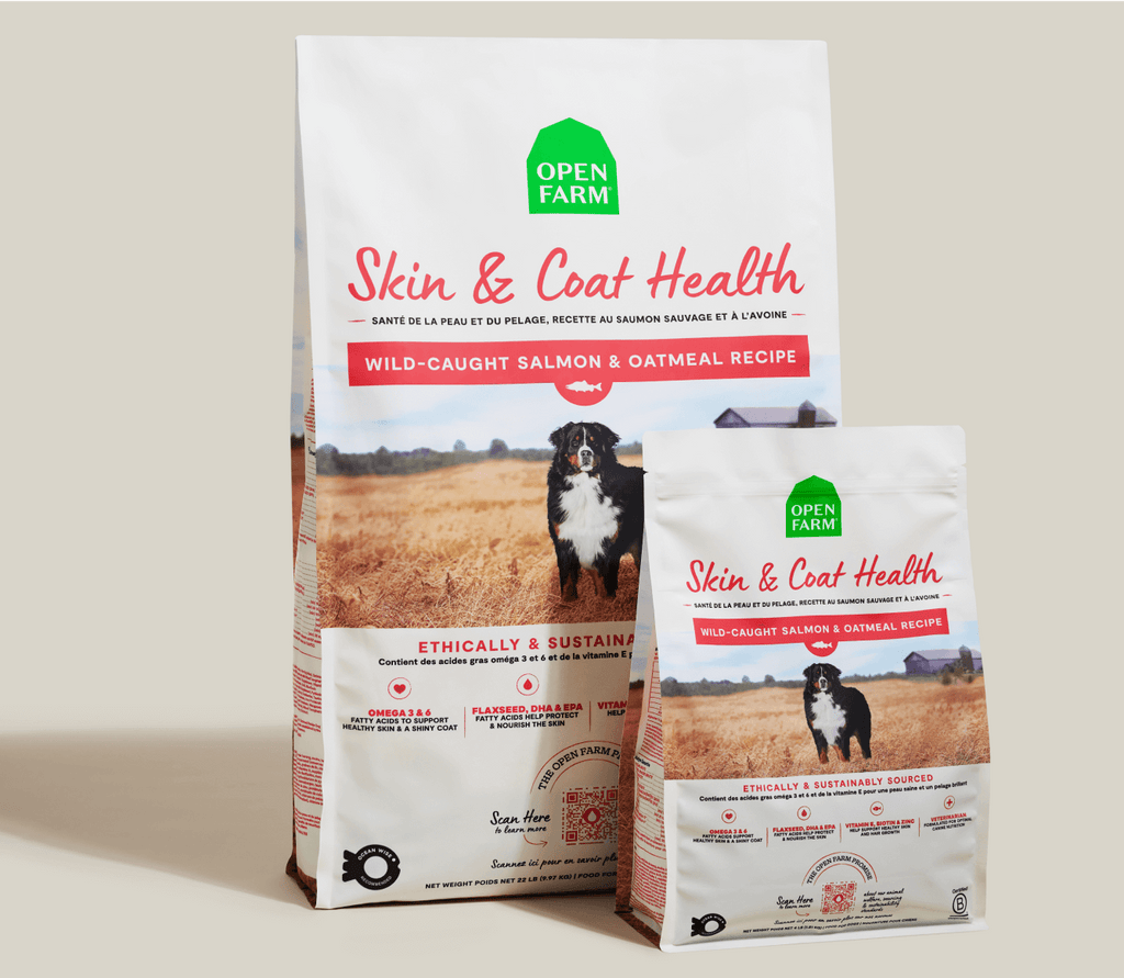 Salmon & Oatmeal Dry Dog Food for Skin & Coat – Omega-3 Rich Kibble