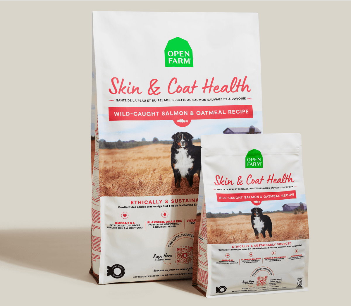 Salmon & Oatmeal Dry Dog Food for Skin & Coat – Omega-3 Rich Kibble